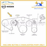 11720-1LA0B Genuine Nissan FAN-BELT, 117201LA0B OEM 5.6LTR V8 2017-2022
