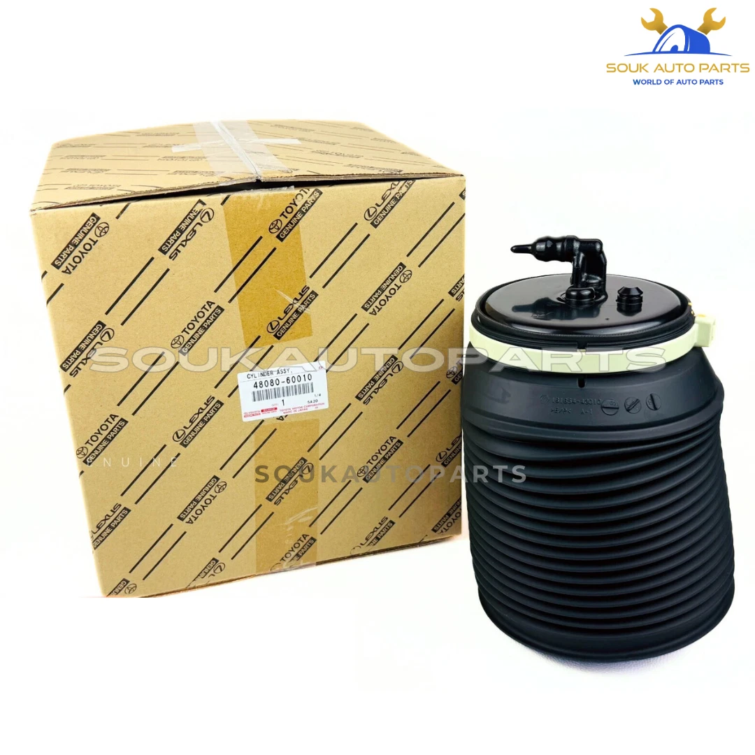 48080-60010 Genuine Toyota CYLINDER ASSY, PNEUMATIC, REAR RH