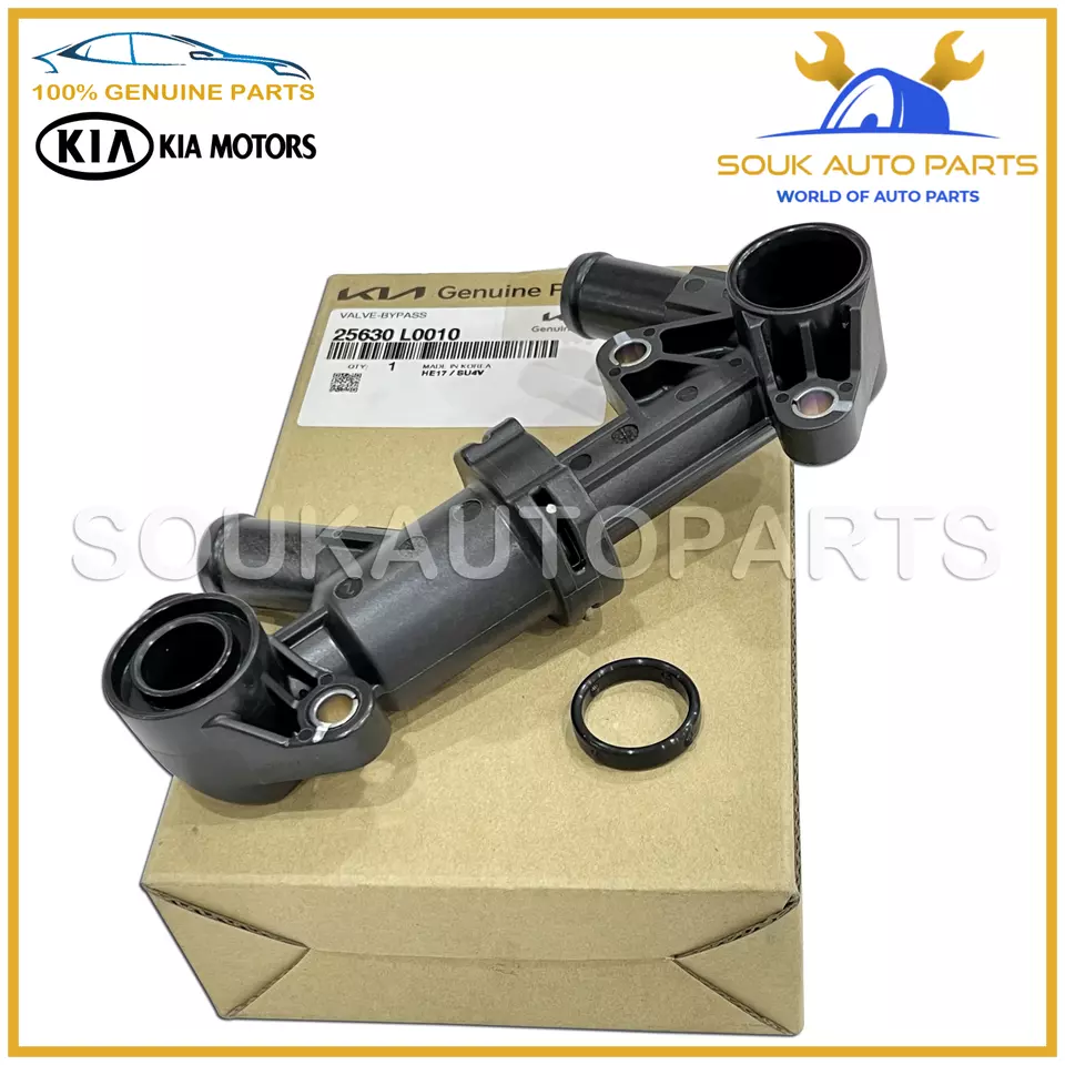 25630-L0010 Genuine Hyundai / Kia ATF COOLER VALVE-BYPASS