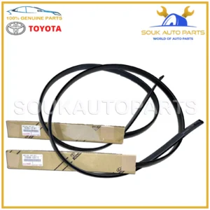 Genuine CENTER LH & RH ROOF DRIP SIDE FINISH MOULDING SET Toyota Scion xB 08-15