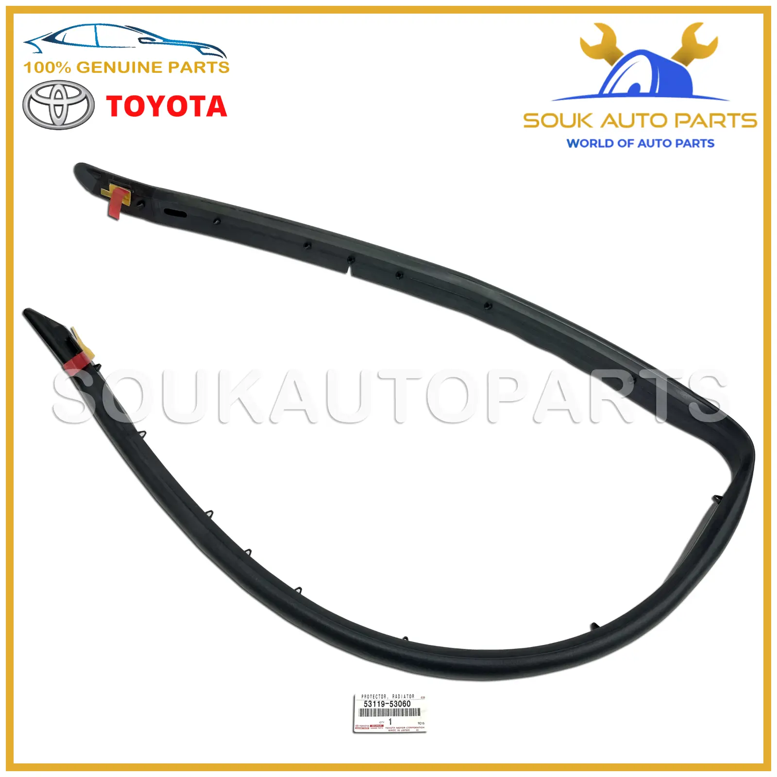 53119-53060 Genuine Toyota PROTECTOR, RADIATOR GRILLE 5311953060 IS200t IS250