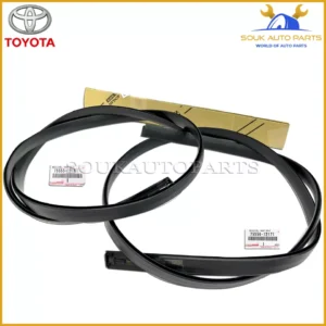 Genuine CENTER LH & RH ROOF DRIP SIDE FINISH MOULDING SET Toyota Scion xB 08-15