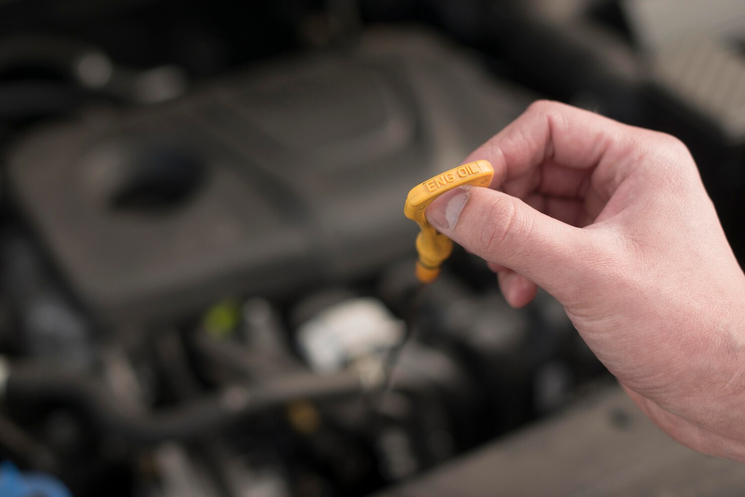 What Does an Oil Filter Do and Why Should It Be Replaced Regularly?