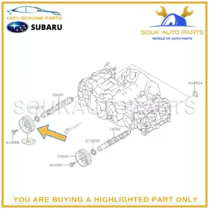 13017-AA042 Genuine Subaru CAMSHAFT SPROCKET 13017AA042 OEM